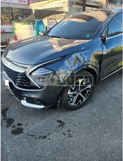 Photo 1 of 17: 2023 Kia Sportage, VIN KNAPX81GBPK065664 — Korean insurance auction