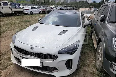 Photo 1 of 12: 2020 Kia Stinger, VIN KNAE351ABLS077763 — Korean insurance auction
