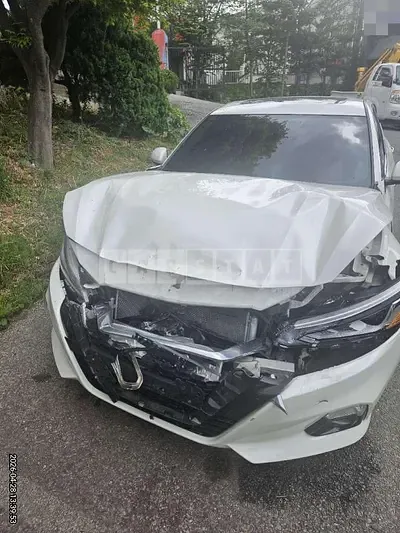 Photo 1 of 7: 2019 Nissan Altima 2.5 — Korean insurance auction