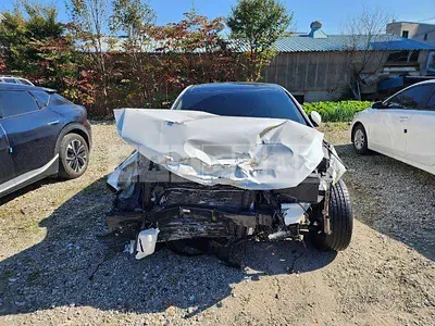 Photo 1 of 25: 2019 Kia K5 2.0(LPI) — Korean insurance auction