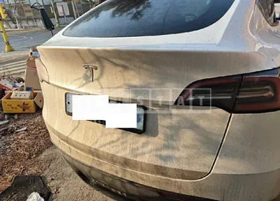 Photo 1 of 14: 2024 Tesla Model Y RWD — Korean insurance auction