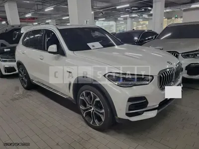 Photo 1 of 9: 2019 BMW X5 xDrive 45EI Performance, VIN WBATA6104N9J64296 — Korean insurance auction