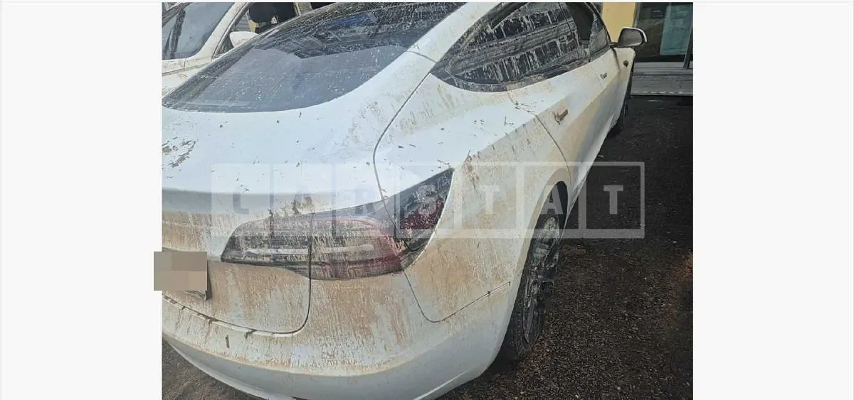 Photo 2 of 12: 2022 Tesla Model 3 RWD — Korean insurance auction