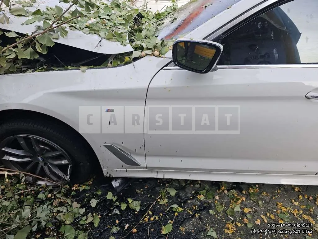 Photo 2 of 29: 2018 BMW 520d, VIN WBAJC3102JDB28228 — Korean insurance auction