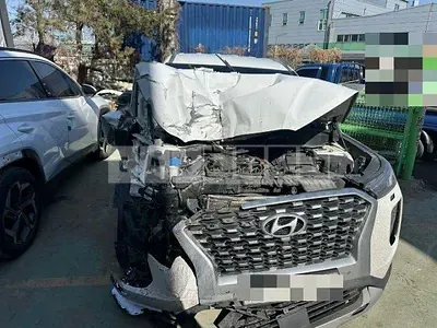 Photo 1 of 11: 2019 Hyundai Palisade 4WD, VIN KMHR381ADKU025208 — Korean insurance auction