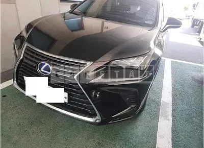 Photo 1 of 14: 2018 Lexus NX300h — Korean insurance auction