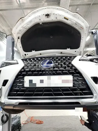 Photo 1 of 5: 2019 Lexus UX250h AWD, VIN JTHU9JBH8K2001192 — Korean insurance auction