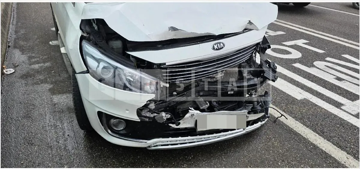 Photo 2 of 12: 2016 Kia Carnivals — Korean insurance auction