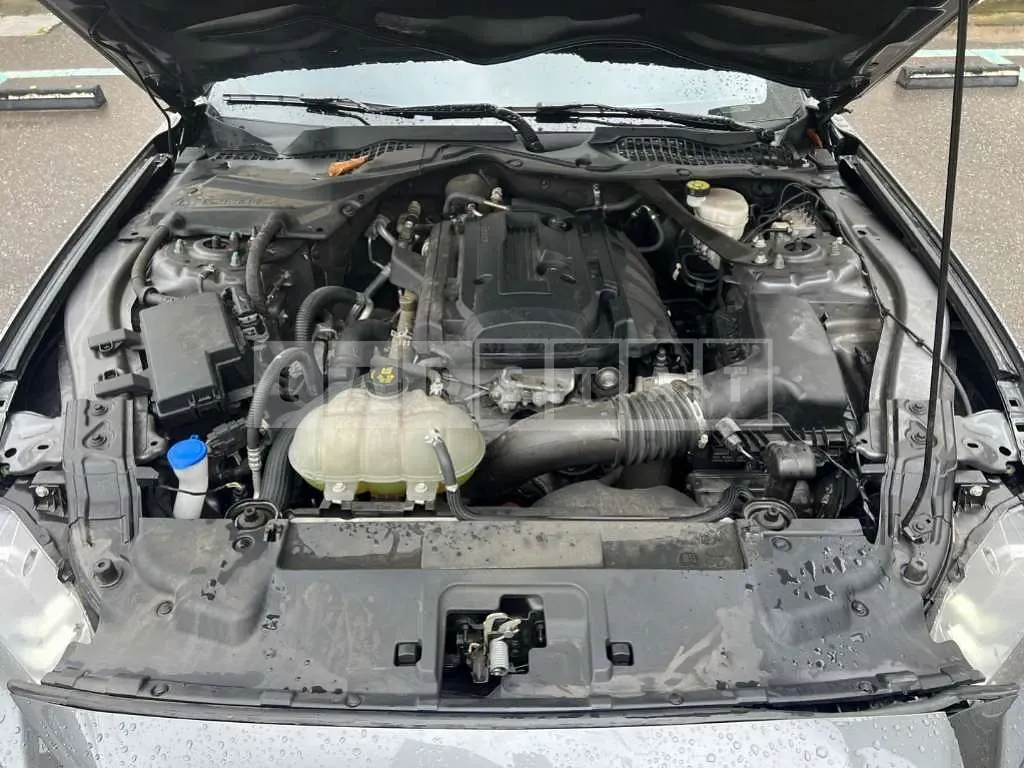 Photo 2 of 14: 2021 Ford Mustang 2.3 Convertible — Korean insurance auction