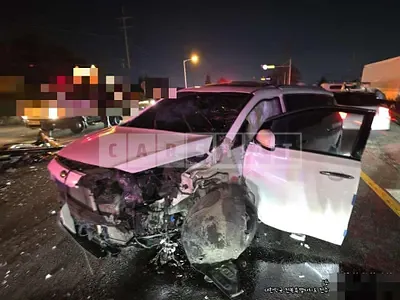 Photo 1 of 7: 2018 Kia Carnivals — Korean insurance auction