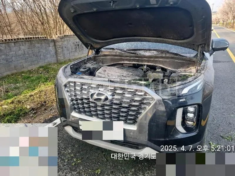 Photo 2 of 10: 2019 Hyundai Palisade Diesel — Korean insurance auction