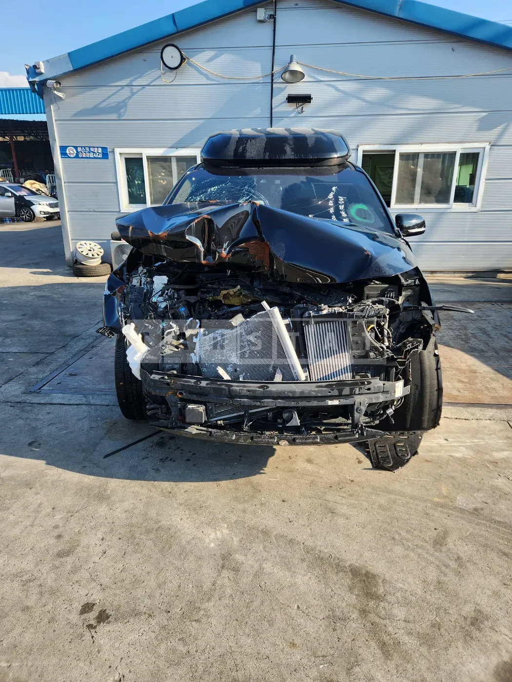 Photo 2 of 16: 2019 Kia Carnival High Rimmujin — Korean insurance auction