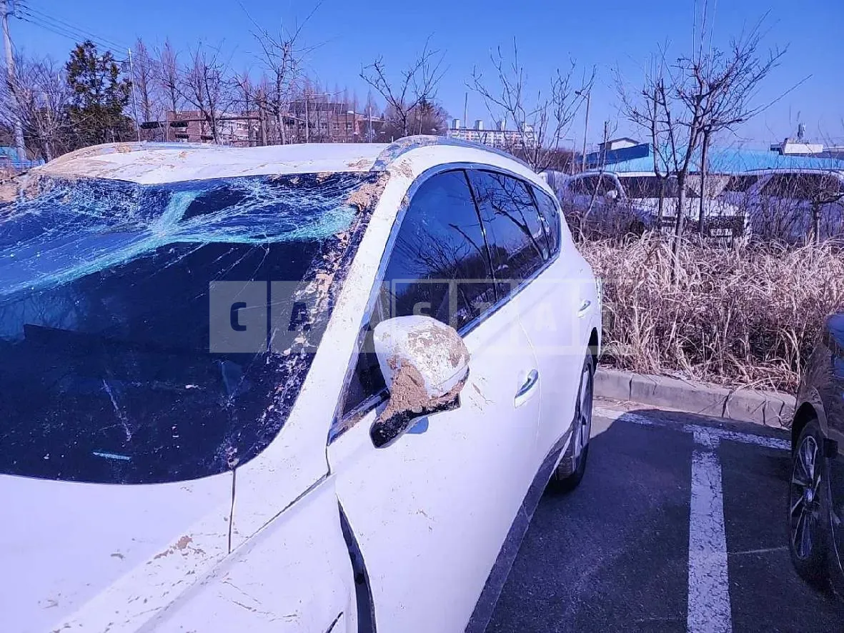 Photo 2 of 22: 2023 Genesis GV80 2.5T (4WD) — Korean insurance auction