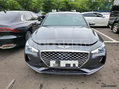 Photo 1 of 14: 2019 Genesis Acupuncture Nessis G70 2.0T — Korean insurance auction
