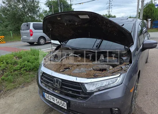 Photo 2 of 12: 2022 Honda Odyssey — Korean insurance auction
