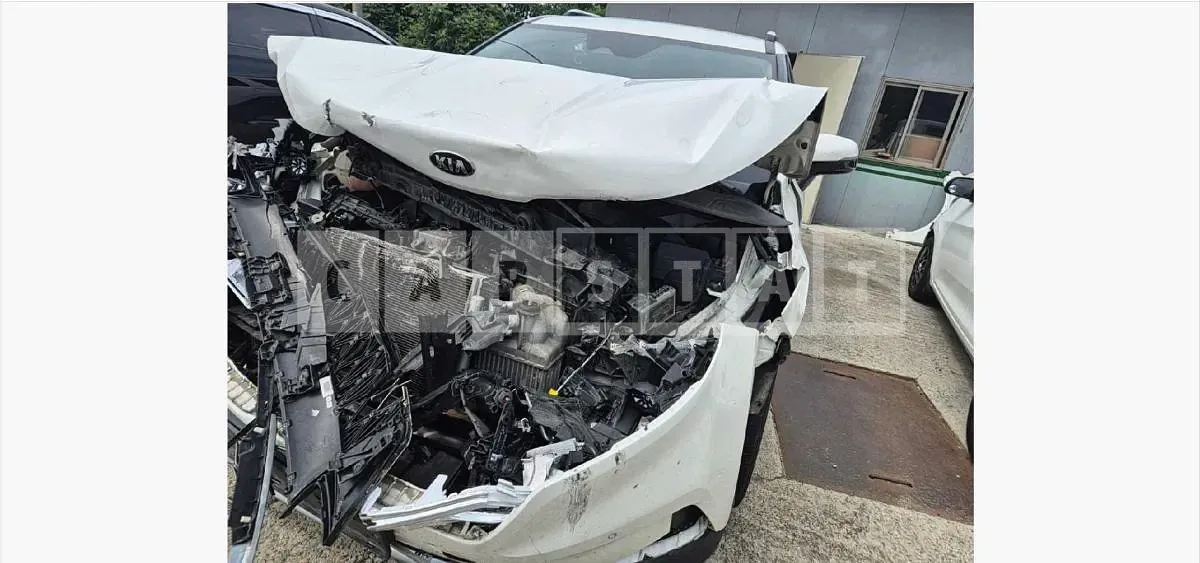 Photo 2 of 20: 2021 Kia Carnivals — Korean insurance auction