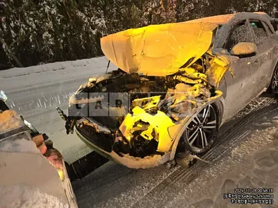 Photo 1 of 6: 2023 Audi Q5 40 TDI quattro — Korean insurance auction