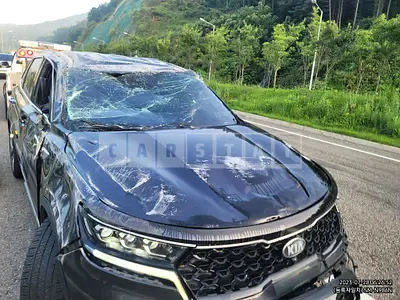 Photo 1 of 12: 2020 Kia Sorento 2.2, VIN KNARH81BGMA000999 — Korean insurance auction