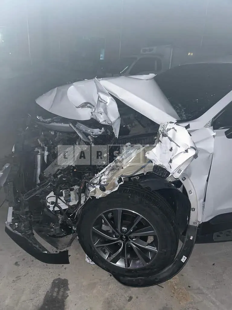 Photo 2 of 13: 2019 Hyundai Santa Fe, VIN KMHS281BBLU228038 — Korean insurance auction