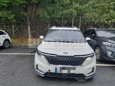Photo 1 of 27: 2020 Kia Carnival 2.2 — Korean insurance auction