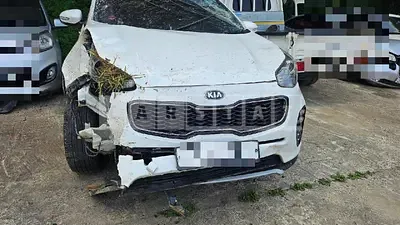 Photo 1 of 8: 2017 Kia Sportage — Korean insurance auction