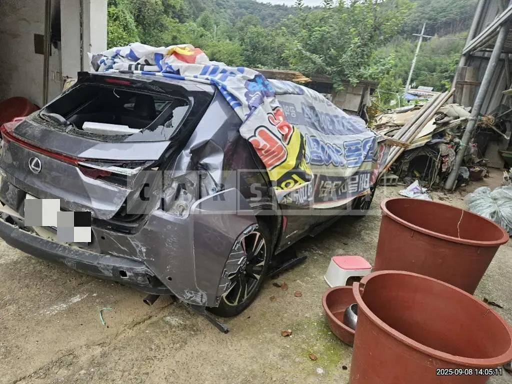 Photo 2 of 26: 2019 Lexus UX250h AWD — Korean insurance auction
