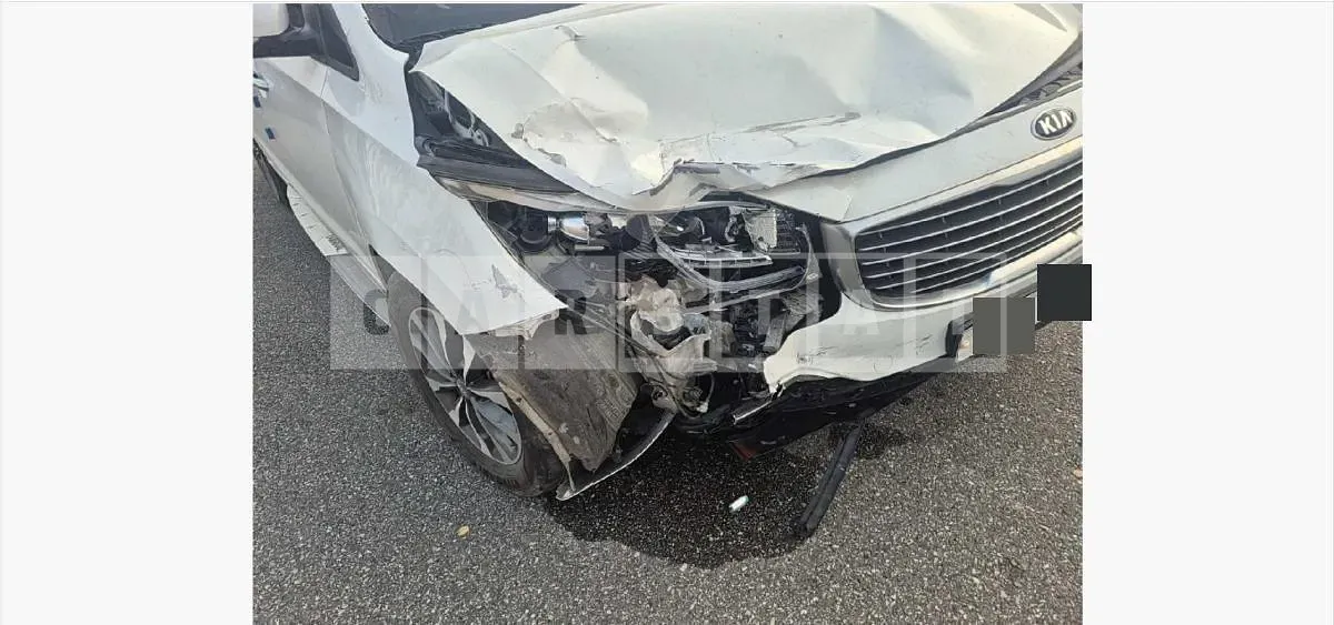 Photo 2 of 16: 2015 Kia Carnivals — Korean insurance auction