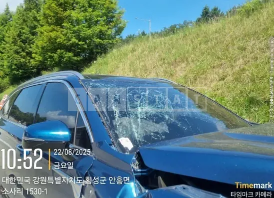 Photo 2 of 8: 2021 Kia Sorento — Korean insurance auction