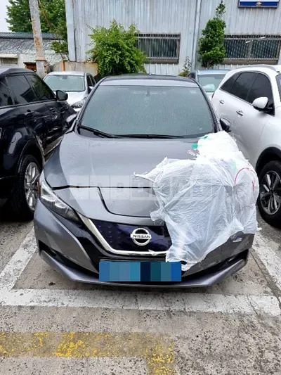 Photo 1 of 34: 2019 Nissan Leaf, VIN 1N4AZ1CP7KC306645 — Korean insurance auction