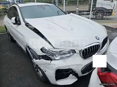 Photo 1 of 11: 2021 BMW X4 xDrive20i — Korean insurance auction