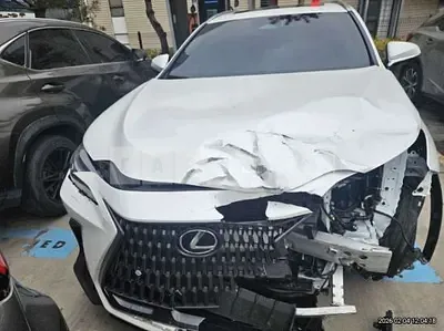 2025 Lexus NX450h+
