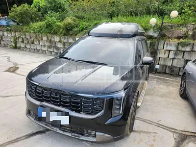 Photo 1 of 13: 2025 Kia Carnivals — Korean insurance auction