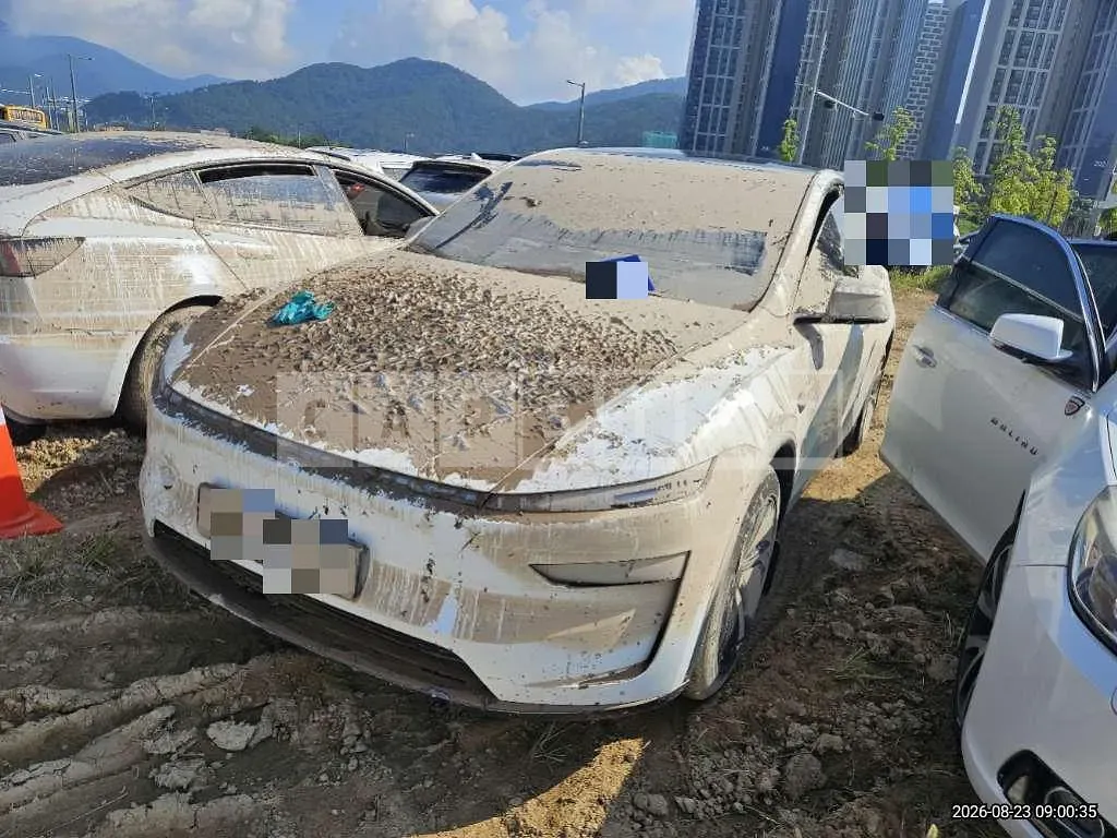 Photo 2 of 6: 2026 Tesla Model Y Premium RWD — Korean insurance auction