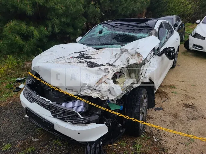 Photo 3 of 3: 2022 Kia K5 1.6, VIN KNAG3412BNA195497 — Korean insurance auction