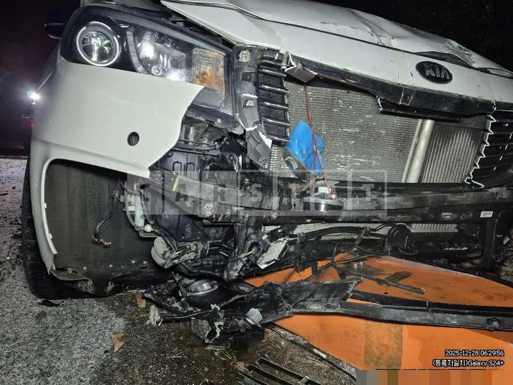 Photo 2 of 5: 2017 Kia Carnival Limousine — Korean insurance auction