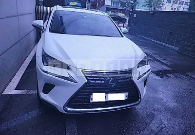 Photo 1 of 27: 2020 Lexus NX300h, VIN JTJDJRDZ2L2128242 — Korean insurance auction