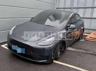 Photo 1 of 50: 2025 Tesla Model Y RWD, VIN LRWYGCFS0SC932559 — Korean insurance auction