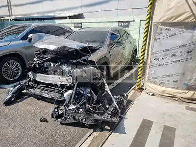 Photo 1 of 12: 2020 Lexus Ux 250h 2WD, VIN JTHP6JBH2L2067485 — Korean insurance auction