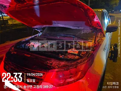 Photo 1 of 46: 2019 Land Rover Discovery SD4, VIN SALRA2BN4KA082071 — Korean insurance auction