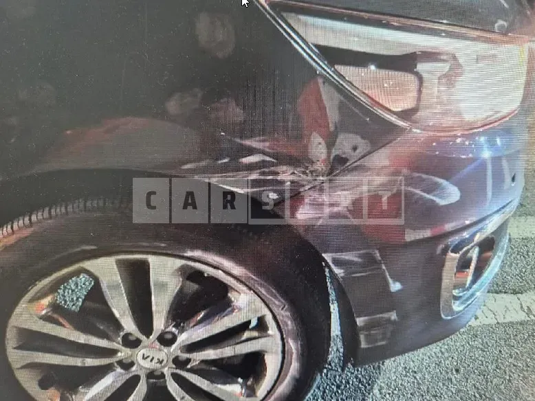 Photo 2 of 16: 2016 Kia Carnivals — Korean insurance auction