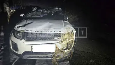 Photo 1 of 14: 2016 Land Rover Range Rover Evoque 2.0d — Korean insurance auction