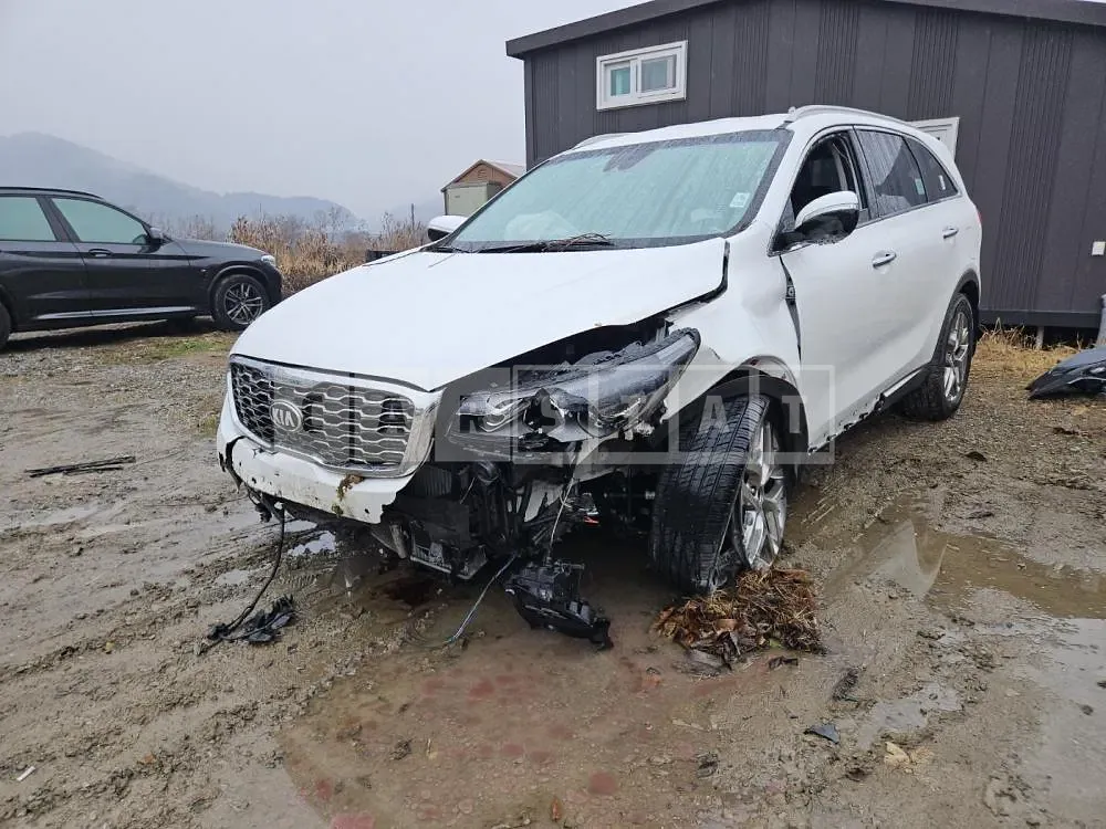 Photo 2 of 12: 2019 Kia Sorento /Sorrento, VIN KNAPH811DLA630874 — Korean insurance auction