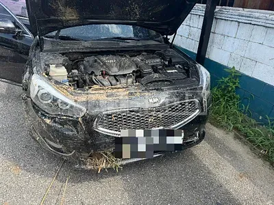 Photo 1 of 7: 2015 Kia K7 2.4 — Korean insurance auction