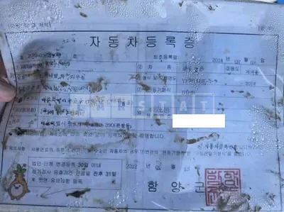 Photo 1 of 8: 2018 Kia Carnival High Limousine — Korean insurance auction