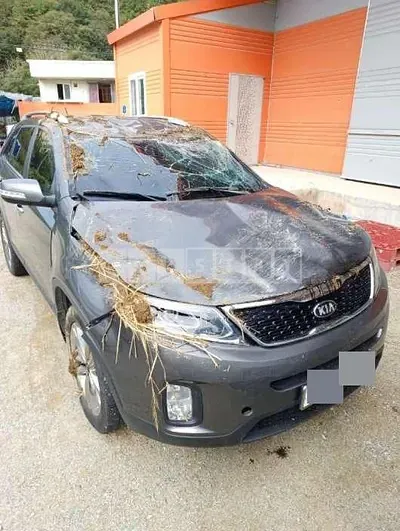 Photo 1 of 8: 2014 Kia Sorento R — Korean insurance auction