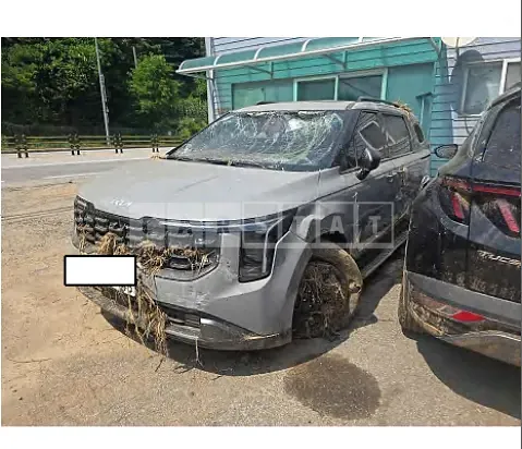 Photo 2 of 19: 2025 Kia Carnival — Korean insurance auction