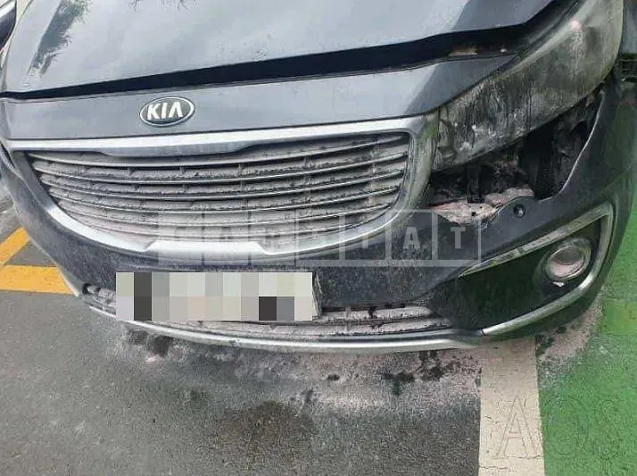 Photo 2 of 19: 2014 Kia Carnival — Korean insurance auction