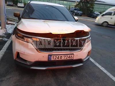 Photo 1 of 20: 2023 Kia Carnival — Korean insurance auction