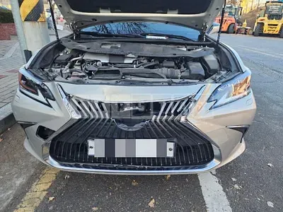 Photo 1 of 46: 2019 Lexus ES300h, VIN JTHB21B10K2042575 — Korean insurance auction