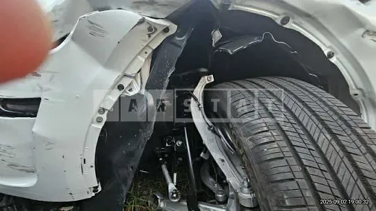 Photo 2 of 15: 2025 Tesla Model Y RWD — Korean insurance auction